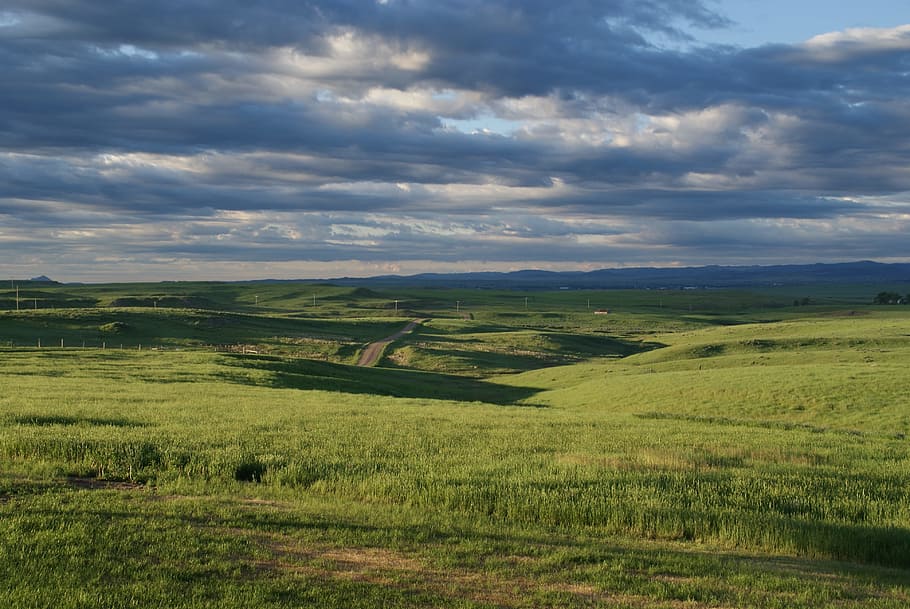 clouds, plains, landscape, light, cloudy, environment, tranquil scene HD wallpaper
