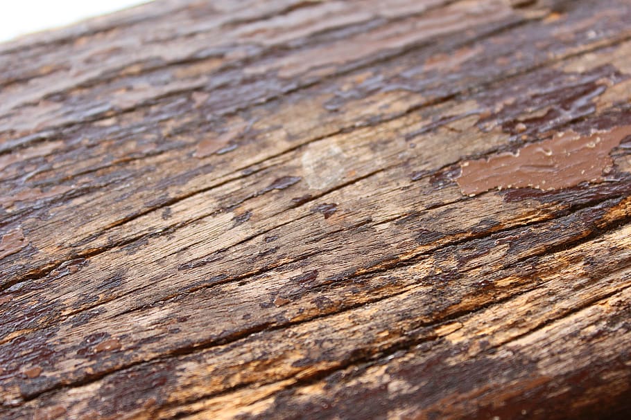 wood, texture, decay, panel, surface, old, dark, rough, wooden HD wallpaper