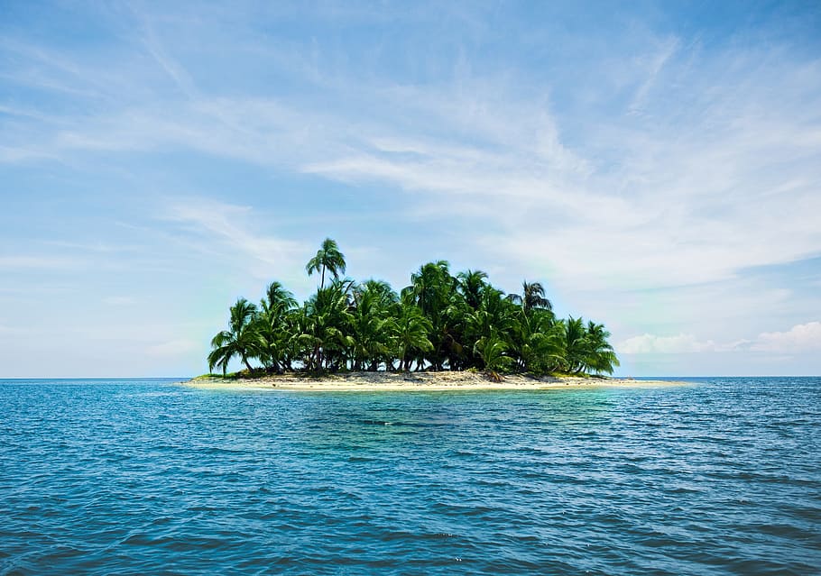 green coconut tree on island surrounded by ocean, holiday, caribbean