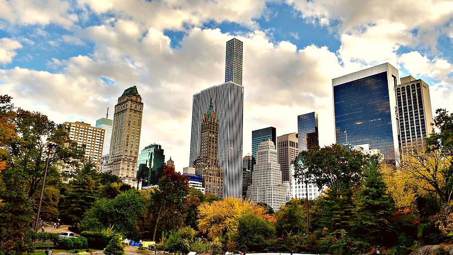 Central Park New York, usa, manhattan, new york city skyline