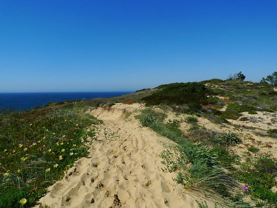 sand, path, footprint, shore, grass, island, tranquil, paradise HD wallpaper