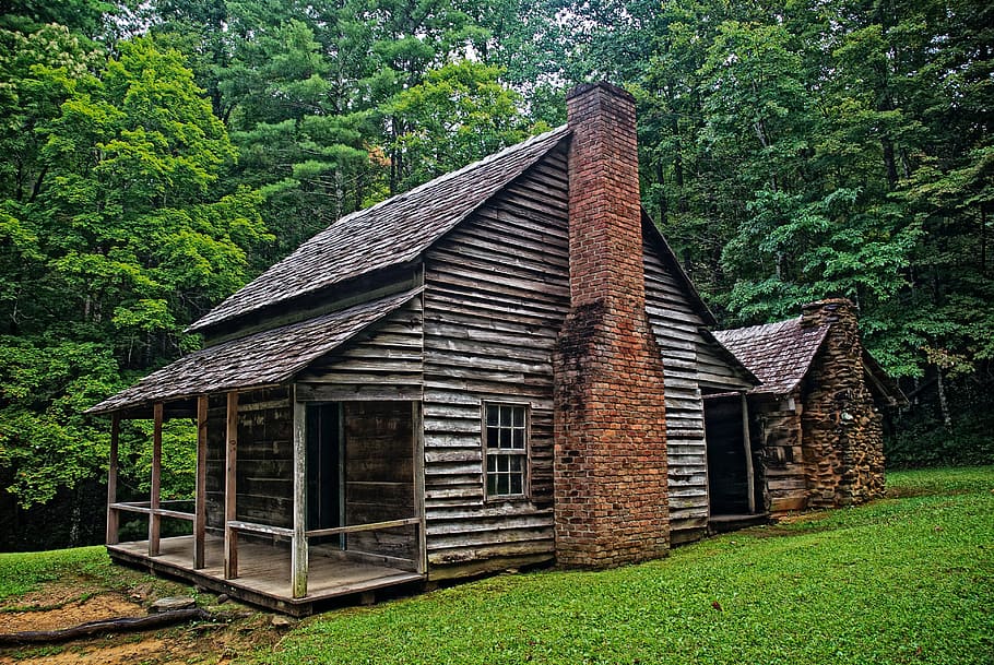 brown wooden cabin surrounded by green trees, rustic, historical