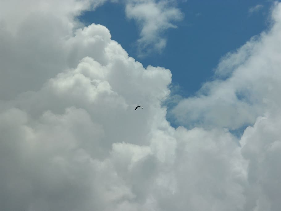 new, cloud, sky, flying, cloud - Sky, air, nature, blue, cloudscape HD wallpaper