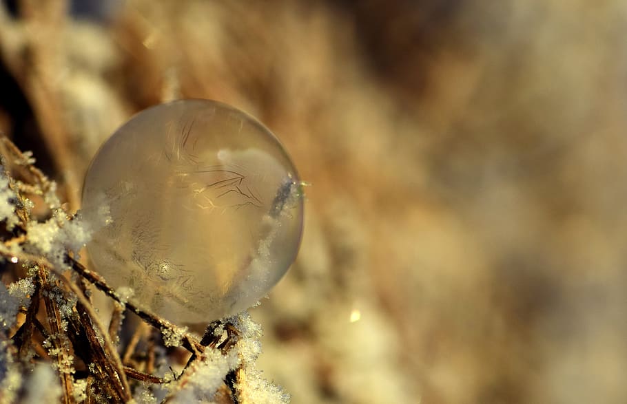 bubble, soap bubble, frozen, winter, cold, ice, frozen bubble HD wallpaper