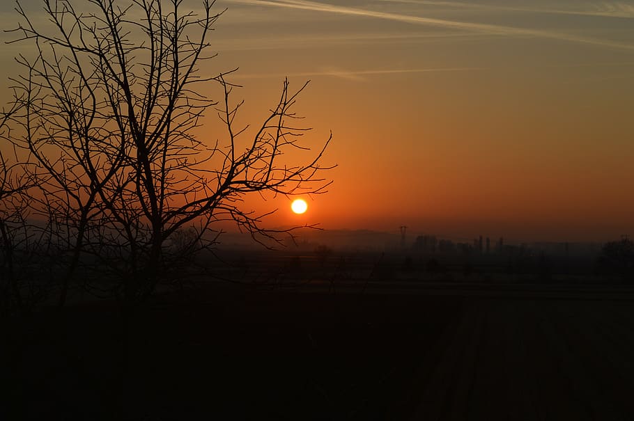 sunset, red, branches, autumn, sky, silhouette, bare tree, orange color HD wallpaper