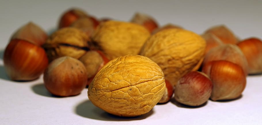 walnut, italian, cane, shell, hard, festive, split, nature HD wallpaper