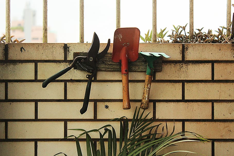 red shovel hanging on rack beside plant, three assorted garden tools on wall HD wallpaper