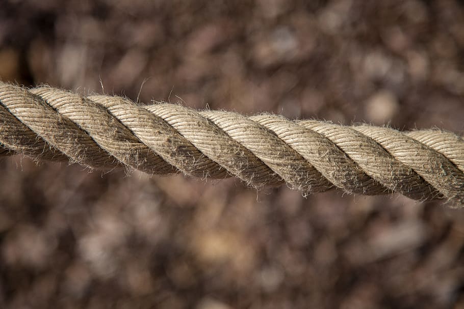 rope, brown, nature, animal body part, no people, close-up HD wallpaper