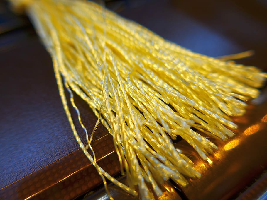 Spike, 鬚, Must, 鬚 鬚, must seen, yellow, cereal plant HD wallpaper