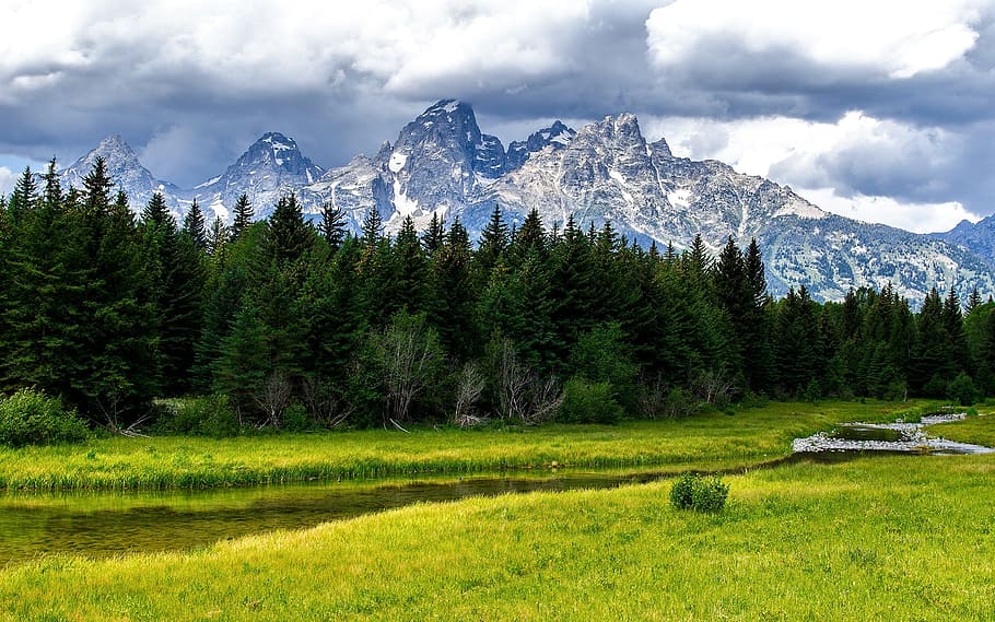 Wallpaper, Trees, 1920 1200, nature, mountain, landscape, scenics HD wallpaper