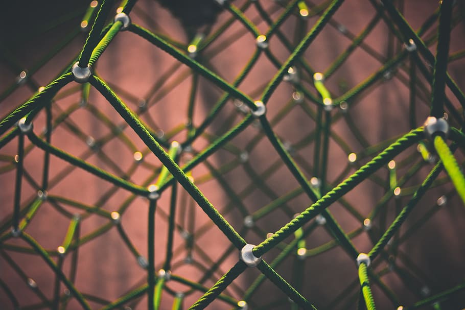 closeup photography of green ropes, network, networking, connection HD wallpaper