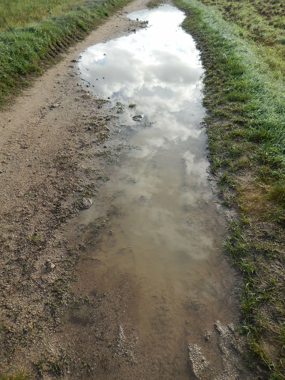 path, sky, reflections, water, plant, no people, high angle view HD wallpaper