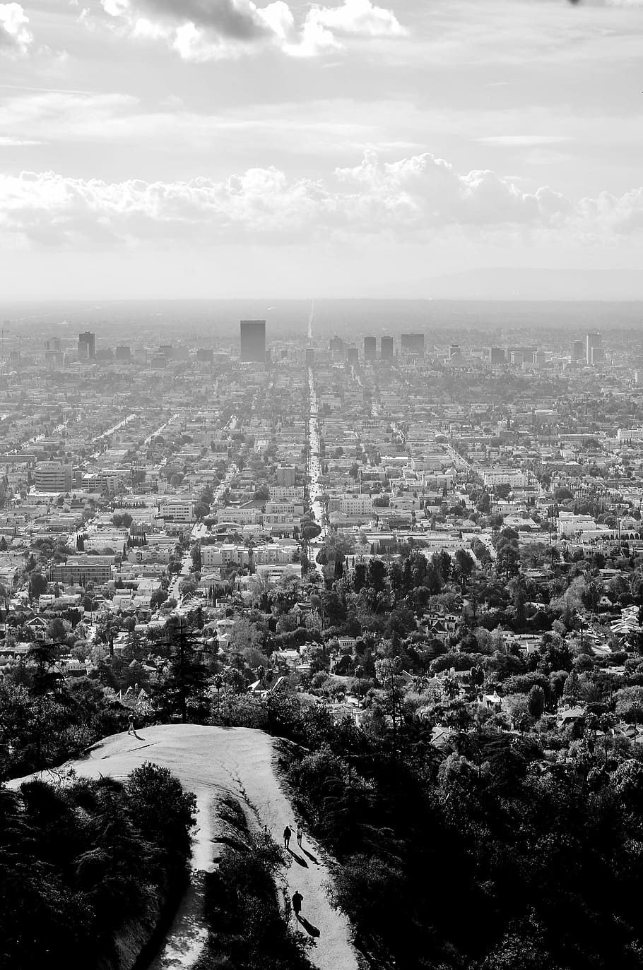 aerial view of trees near buildings, grayscale, photo, city, landscape