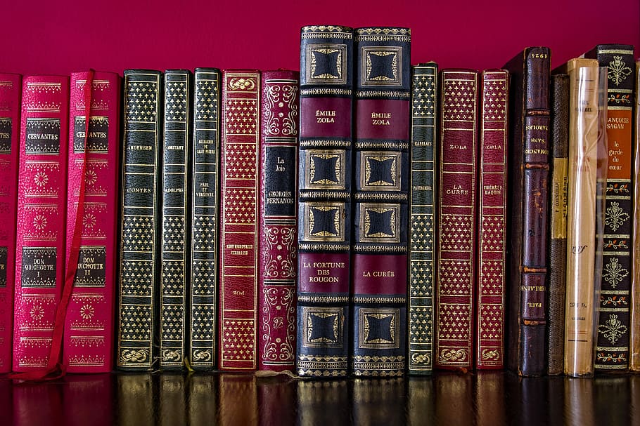 book lot, literature, bookcase, library, wisdom, reading, education HD wallpaper