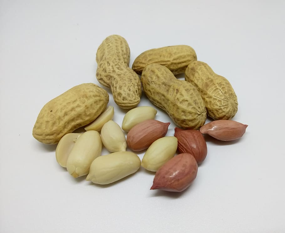brown peanuts, dry fruit, raw, white background, food, food and drink HD wallpaper