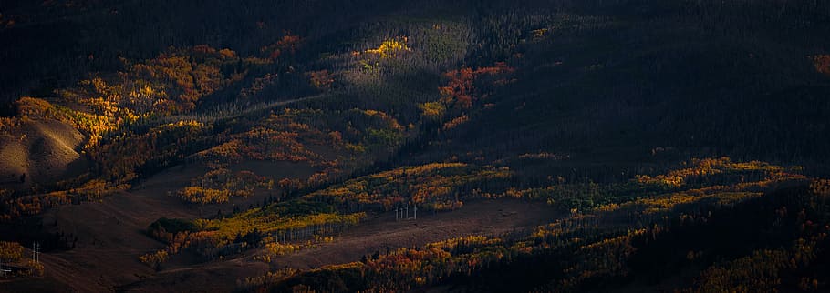 panoramic photography of mountain, aerial photo of trees on hill HD wallpaper