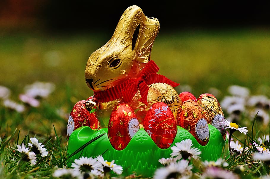 hare, easter, chocolate, spring meadow, wildflowers, blue, flower meadow HD wallpaper
