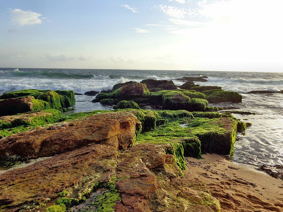 Sea, Texture, Evening, Sunset, Nature, sky, landscape, water HD wallpaper