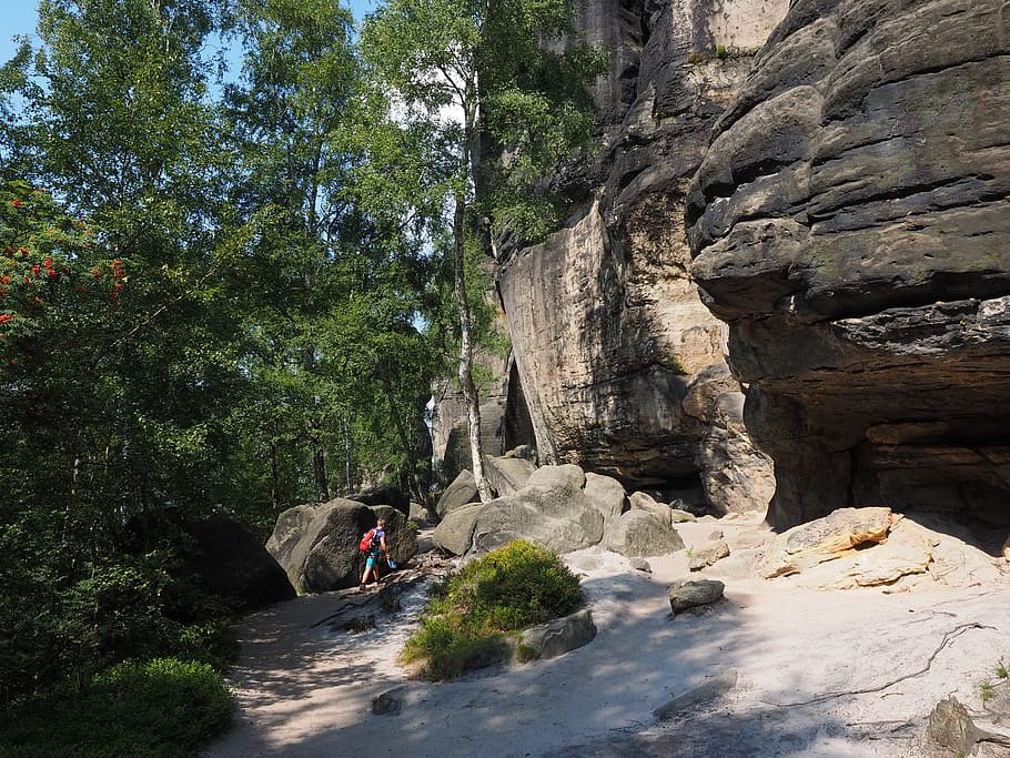 frienstein, elbe sandstone, hike, sandstone rocks, landscape, HD wallpaper