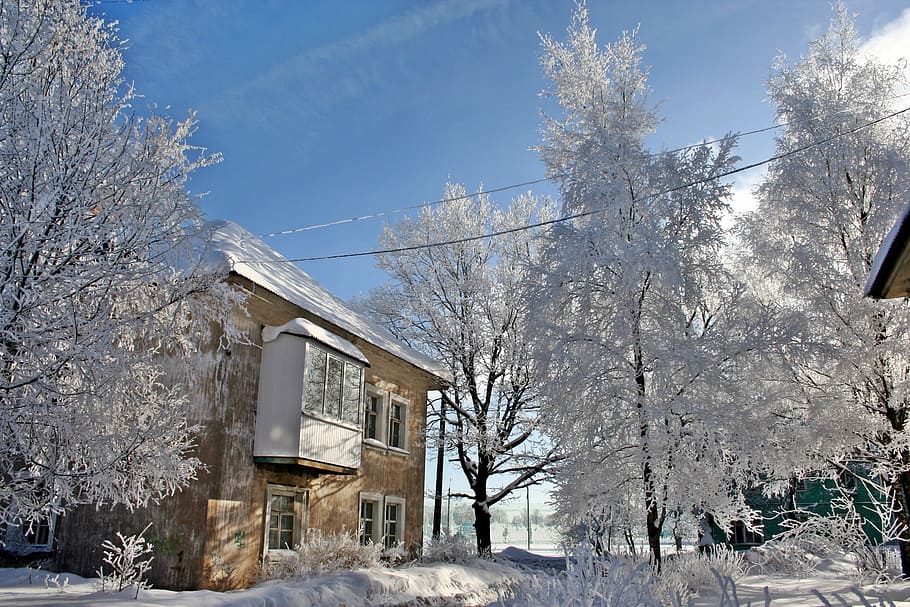 Russian Winter, Beauty, Nature, snow, village, coldly, very nice