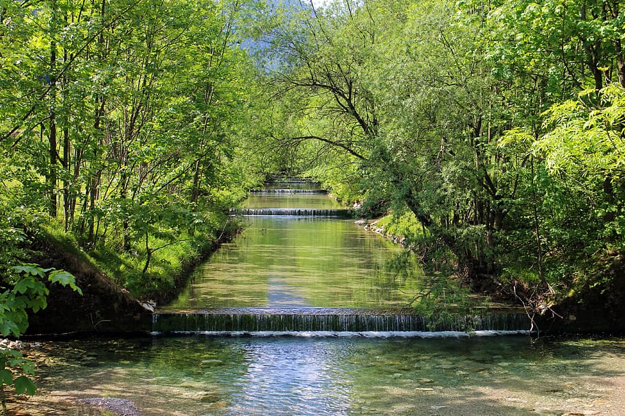 body of water in between trees photo, cascade, cascades, gradually HD wallpaper
