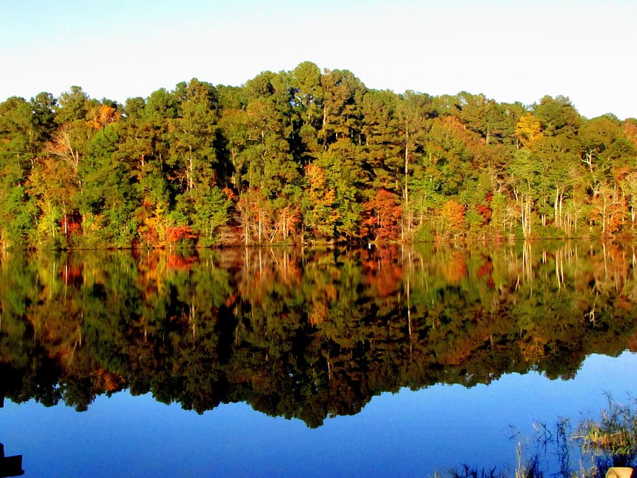 lake, water, tree, landscape, scenery, nature, fall, reflection HD wallpaper