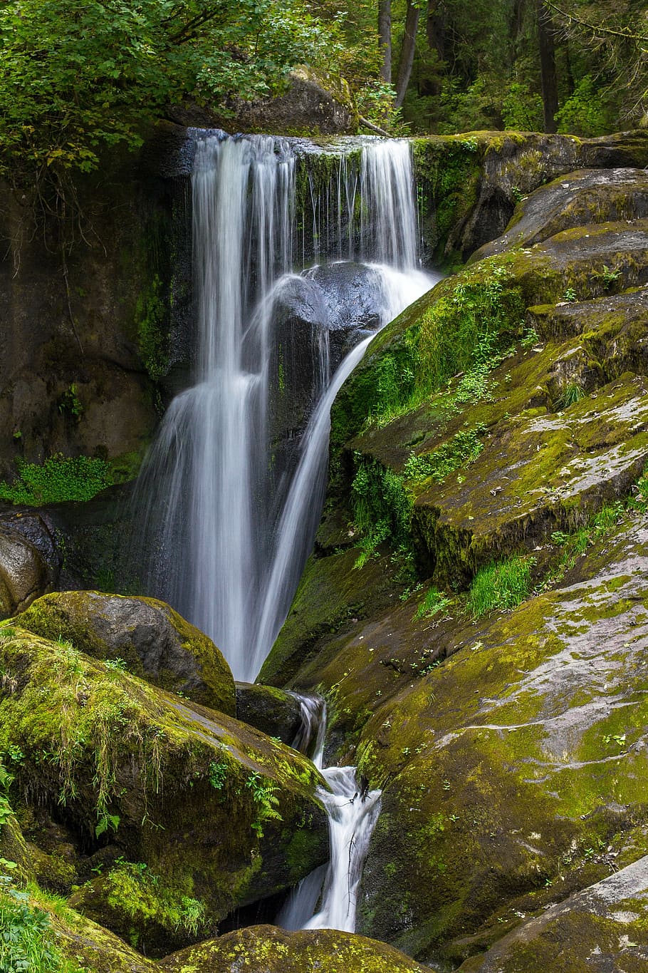 moss on rocky of waterfalls, forest, water flow, nature, triberg HD wallpaper
