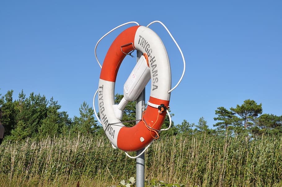 lifebuoy, rescue, reed, sky, nature, safety, blue, life belt, HD wallpaper
