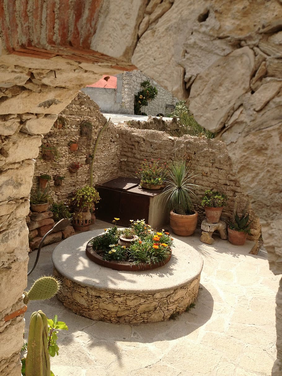 cactus, garden, nature, architecture, stone Material, plant, HD wallpaper