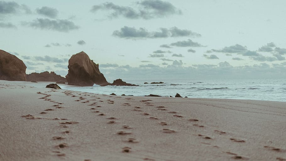 sea, ocean, water, waves, nature, footprints, beach, white HD wallpaper