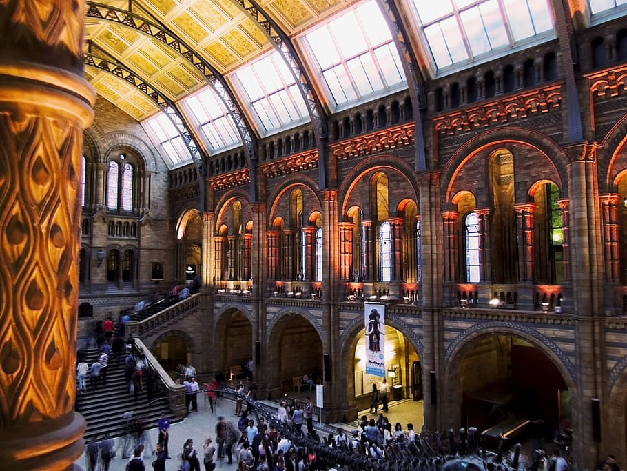 aerial view of catheral, natural history museum, london, architecture, HD wallpaper