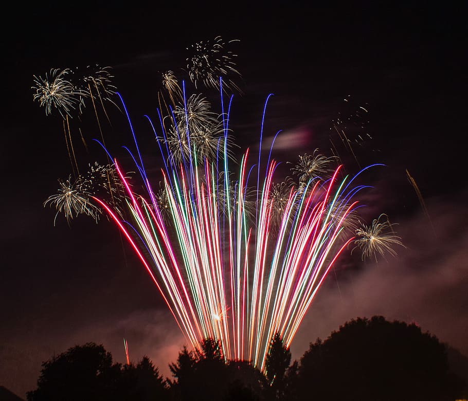 silhouette of tree under multicolored fireworks, photography of fireworks display HD wallpaper