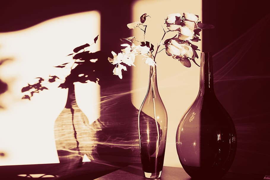 wall, light, shadow, dark, glass, jar, bottle, flower, display HD wallpaper