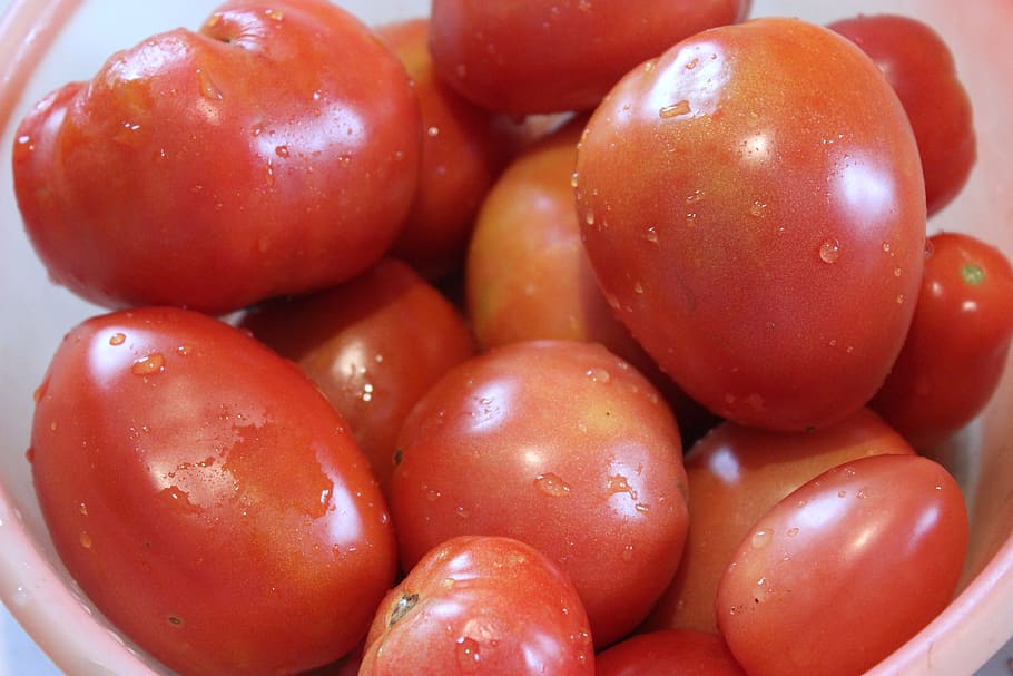 tomatoes, red, food, food and drink, healthy eating, vegetable HD wallpaper