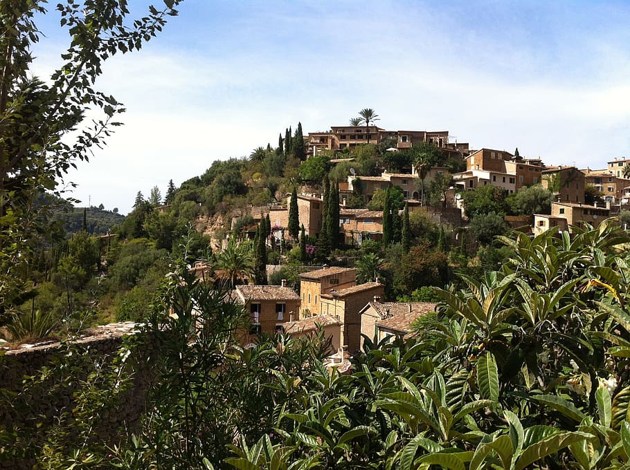 deia, mallorca, spain, tree, building exterior, architecture HD wallpaper