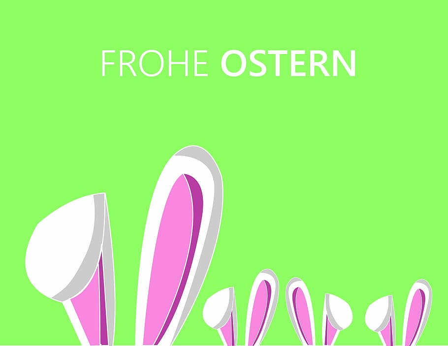 frohe ostern text, easter, hare, ears, bunny, greeting card HD wallpaper