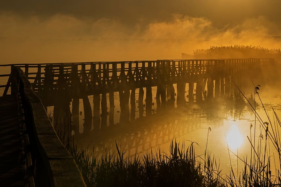 bridge covered by fog during golden hour, mood, morning, sunrise, HD wallpaper