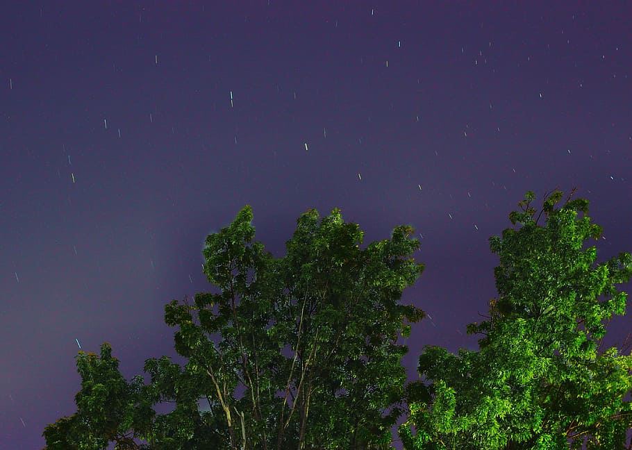 star, sky, tree, night, space, moon, night sky stars, blue HD wallpaper
