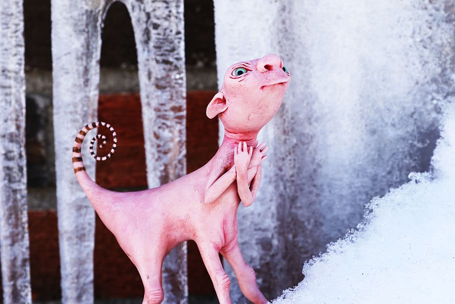 winter, snow, figure, cold, animal, animal themes, cold temperature HD wallpaper