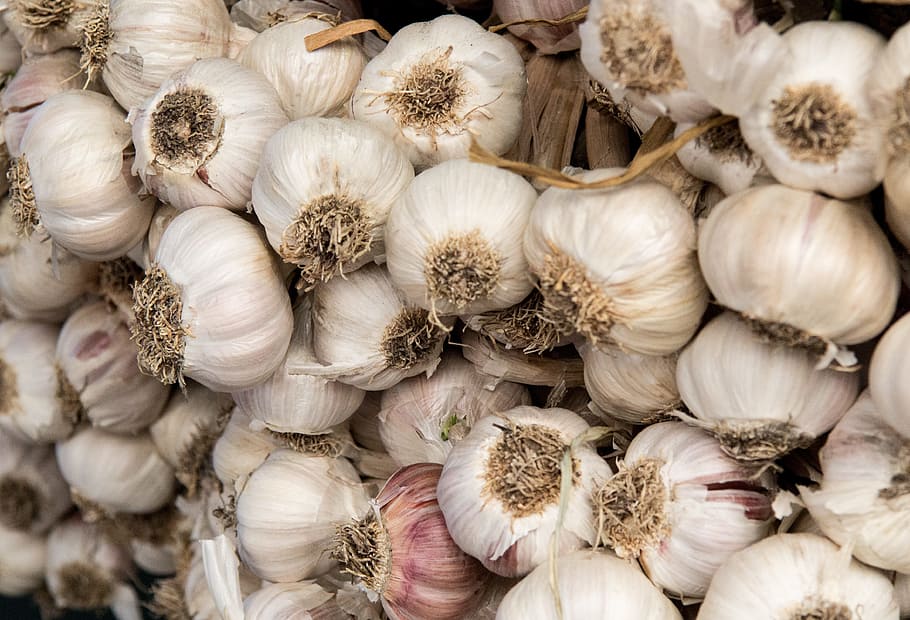 Garlic Ear Drops for Infections: Everything You Need to Know