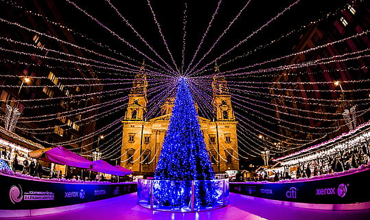 landscape photography of blue Christmas tree, budapest, advent HD wallpaper