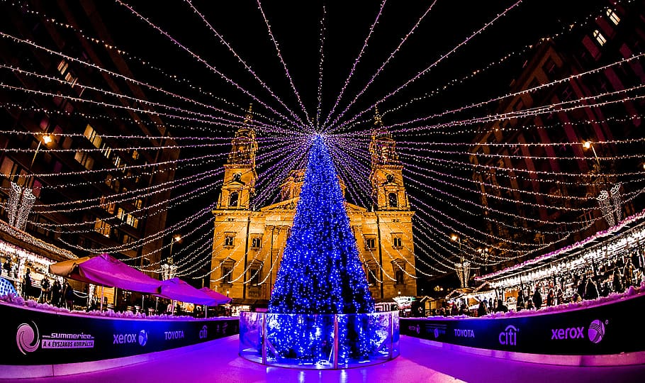 landscape photography of blue Christmas tree, budapest, advent HD wallpaper