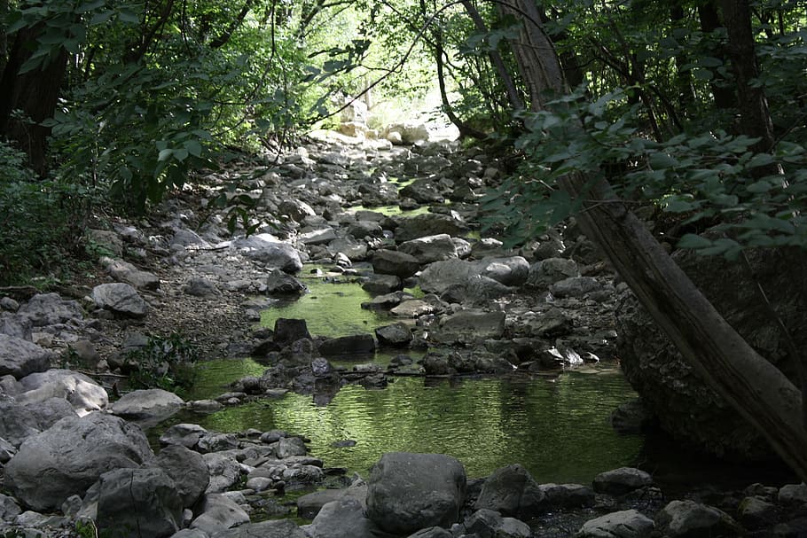 Water, Rock, Trees, Summer, rocks, nature, forest, tranquility HD wallpaper