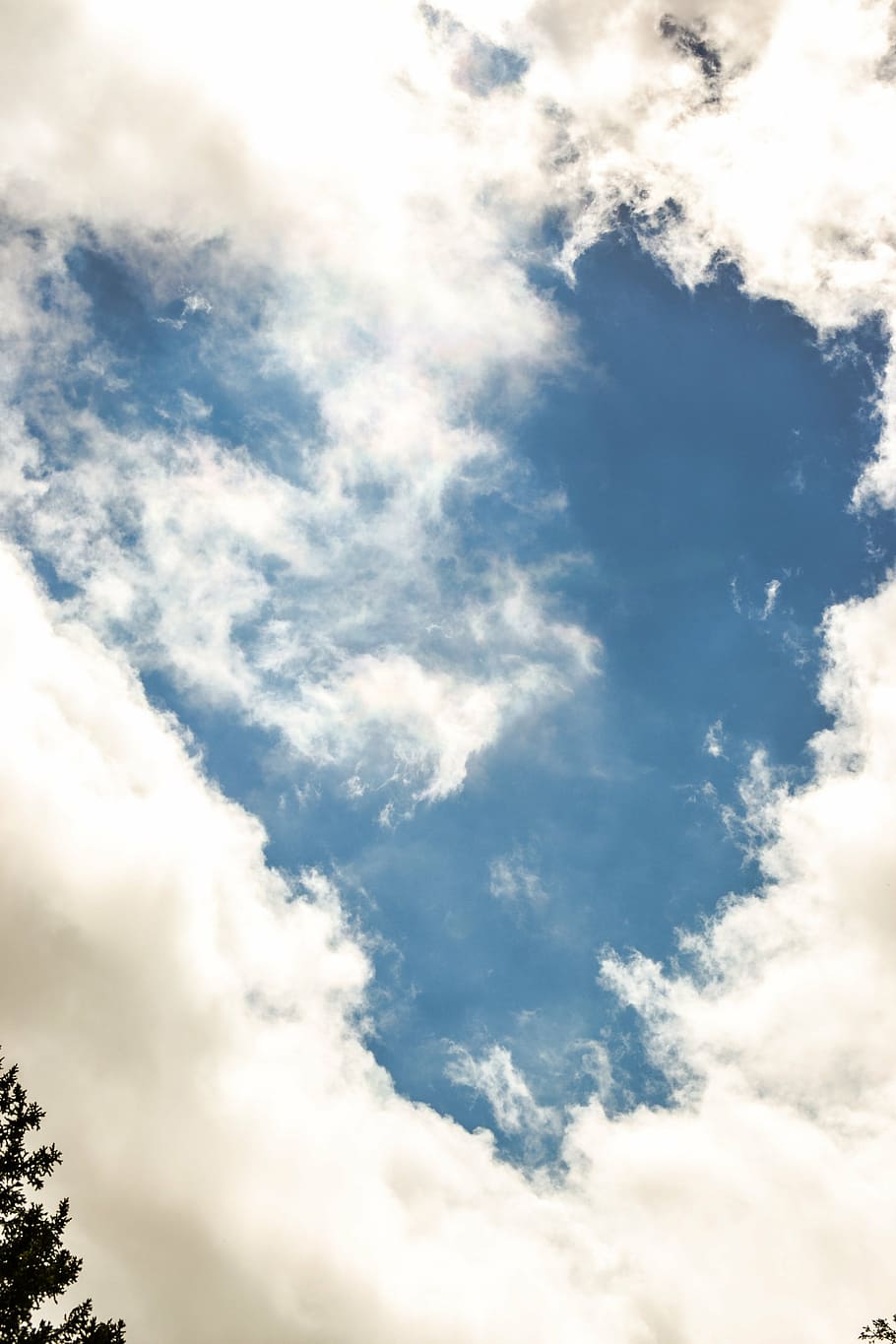 cloud, color, sky, blue, summer, heart, cloud - sky, low angle view HD wallpaper