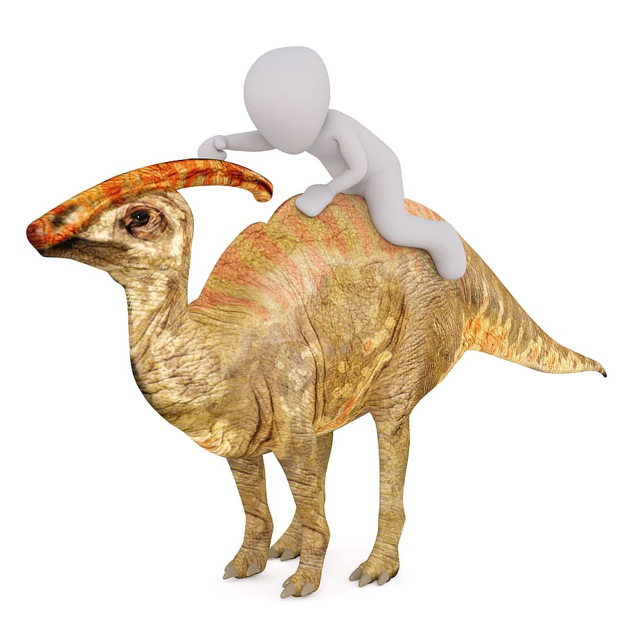 brown dinosaur illustration, Males, 3D Model, Isolated, 3D, Model HD wallpaper