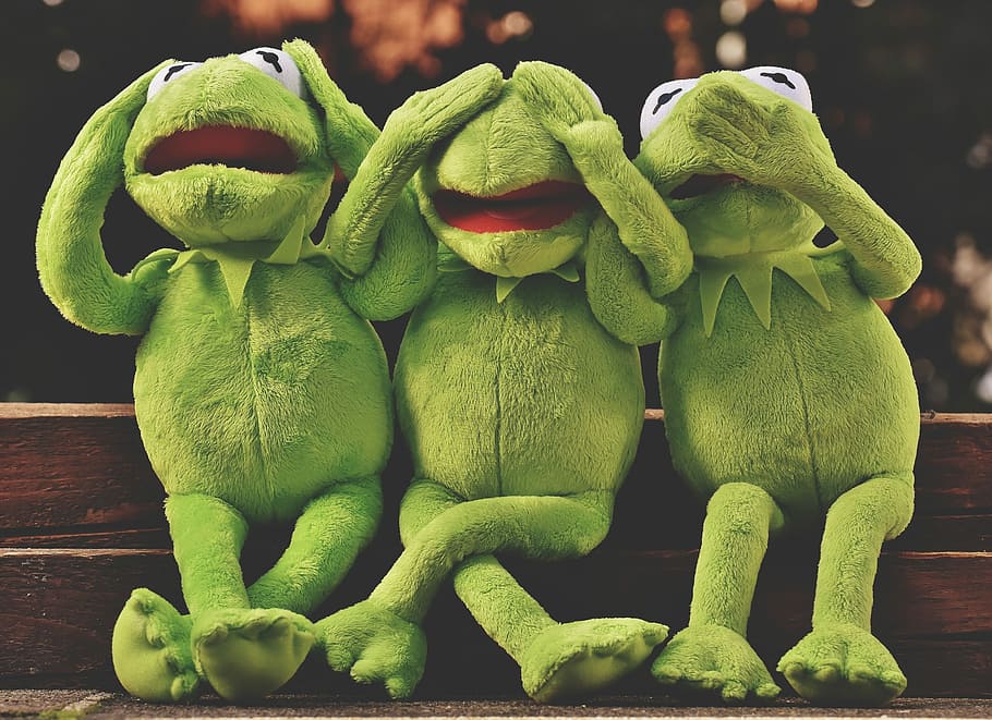 HD wallpaper: Kermit the Frog photo, not hear, not see, do not speak, funny  | Wallpaper Flare