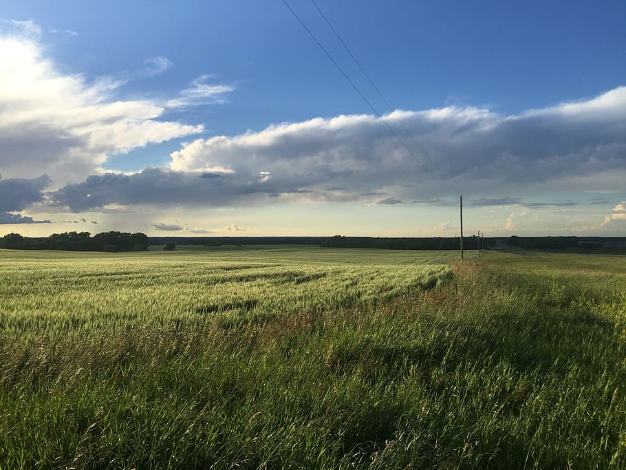 Nature, Fields, Clouds, Sunny, Sunset, landscape, outdoor, countryside HD wallpaper