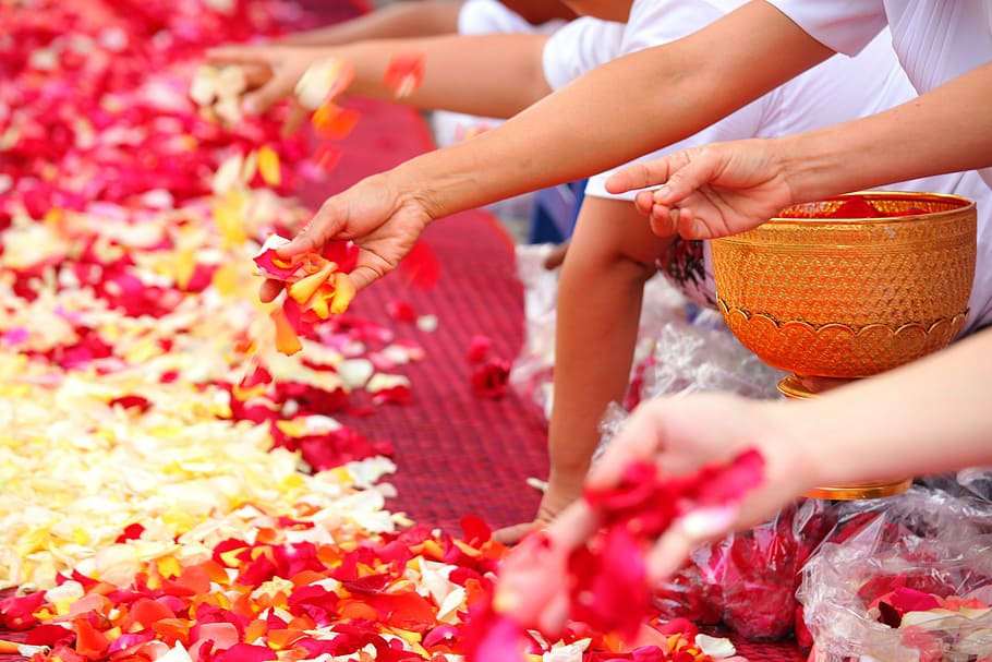 Buddhists, People, Thailand, rose petals, ceremony, tradition, HD wallpaper