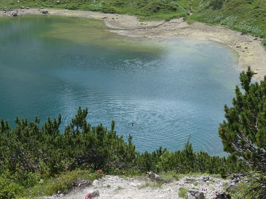 Pool, Little Lake, Bergsee, Swim, alpine lake, water, clear, HD wallpaper