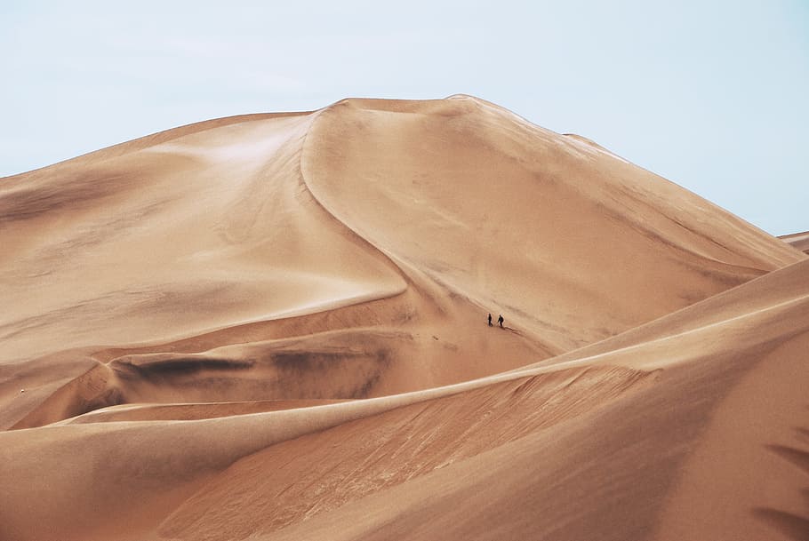 two people standing in desert field during daytime, two people walking on desert HD wallpaper